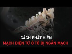 Hiện tượng ngắn mạch ô tô