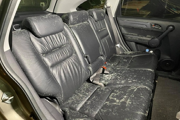 Cách chống ẩm mốc nội thất khi đỗ xe lâu ngày